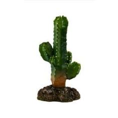 Imagem de Enfeite de Resina SOMA Planta Cactus 111