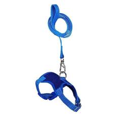 Imagem de Coleira Peitoral Para Coelhos E Hamster Azul