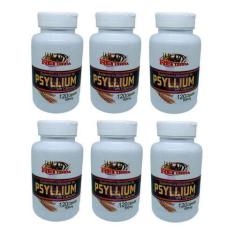 Imagem de Kit 9 Psyllium 500Mg 120 Cápsulas - Rei Terra