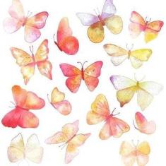 Imagem de Papel De Parede Adesivo Borboletas 349599194 0,58X3,00M