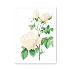 Imagem de Arte Maníacos Quadro Decorativo   - 23x16,25cm (Moldura caixa em laca )