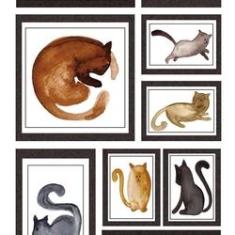 Imagem de Papel De Parede Adesivo Autocolante Animal Retratos De Gatos