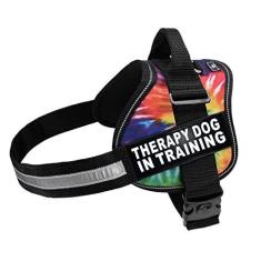 Imagem de Coleira de nylon Therapy Dog in Training. A compra vem com 2 adesivos removíveis refletivos para cães terapêuticos em treinamento. Meça seu cão antes de fazer o pedido (circunferência de 30 a 40 cm,