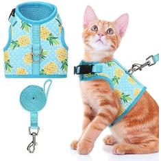 Imagem de BINGPET Arnês para gatos – com guia incluída – Arnês ajustável para cães e gatos, arnês ajustável para gatinhos, colete ajustável para gatos