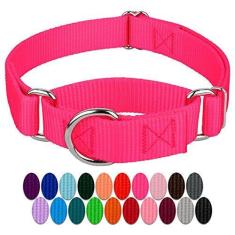 Imagem de Coleira Country Brook Petz Martingale para cães - Coleira de treinamento resistente sem fivela - Coleira para cães de serviço para todos os filhotes - Coleção vibrante e colorida (rosa choque, 2,5 cm,