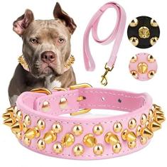 Imagem de Epesiri Coleira Golden Spike para cães, coleira de cachorro com pontas douradas, coleira de couro PU durável cravejada com trela, cogumelos engraçados rebite pequeno filhote de estimação gato coleira