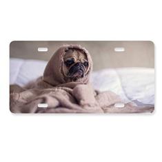 Imagem de DIYthinker Bulldog Pet Animal Lonely placa de licença decoração de aço inoxidável para automóveis