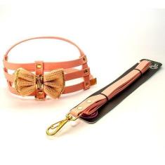 Imagem de Peitoral E Guia Charminho Para Cães Linha Luxo - Bicho Com Luxo