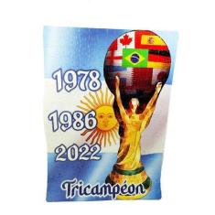Imagem de Quebra-Cabeça 120 Peças Argentina Tricampeon Del Mundo - Coleção Tea E