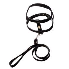 Imagem de Coleira Peitoral De Camurça 25mm Com Aplique Preto - Nicapet