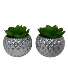 Imagem de Conjunto De Vasos De Cerâmica Prata Com Planta
