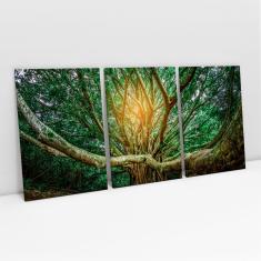 Imagem de Quadro Para Sala Paisagem Árvore Enorme Floresta Mosaico 3 Telas Grande Canvas - Bimper