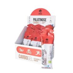 Imagem de Gel Palatinose Alquimia da Saúde Morango 15 Unidades 60g, Morango