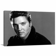 Imagem de Quadro Decorativo Elvis Presley - Retrô - Tela em Tecido