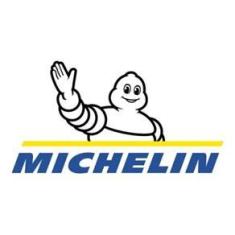 Imagem de Pneu de Moto Michelin POWER CUP EVO 140/70 ZR17 66W