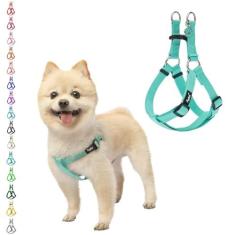 Imagem de PUPTECK Peitoral para cães, macio, ajustável, básico, de nylon, para passear ao ar livre com etiqueta de identificação