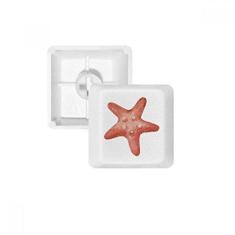 Imagem de Kit de atualização de teclado mecânico PBT Starfish Marine Life com ilustração 