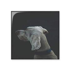 Imagem de Dog Pet Animal Lonely Night cerâmica azulejo brilhante decalque pedra adornada tijolo vitrificado