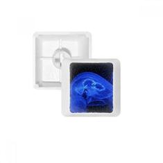 Imagem de Kit de atualização de teclado mecânico PBT com teclado mecânico e água-viva Tropical Sea Jellyfish