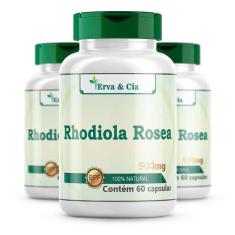 Imagem de Rhodiola Rosea Cápsulas 500Mg 3 Frascos Raiz De Ouro
