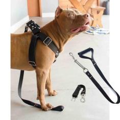 Imagem de Coleira Peitoral Cachorro Guia Adaptador Pit Bull Anti Puxão - Dedcase