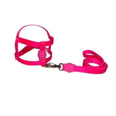 Imagem de Coleira Peitoral Neon Para Cães Tradicional 15Mm - Rosa Nº3
