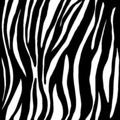 Imagem de Papel De Parede Adesivo Zebra 711320554 Rolo 0,58X3M