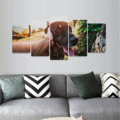 Imagem de Quadro decorativo Cachorro Melhor Amigo do Homem