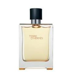 Imagem de Perfume Hermès Terre d’Hermès Eau de Toilette Masculino 100ml