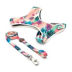 Imagem de Peitoral E Guia Toh Neoprene Laguna Para Cães - Tamanho M