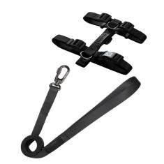 Imagem de Kit - Peitoral H + Guia – Elegance  - Tamanho M [F117]
