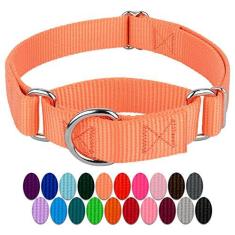Imagem de Coleira Country Brook Petz Martingale para cães - Coleira de treinamento resistente sem fivela - Coleira para cães de serviço para todos os filhotes - Coleção vibrante e colorida (manga, 2,5 cm,