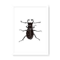 Imagem de Arte Maníacos Quadro Decorativo Inseto Besoura - 23x16,25cm (Moldura caixa em laca )