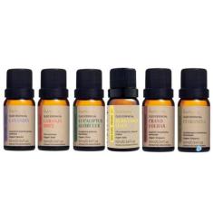 Kit 6 Óleos Essenciais Via Aroma Natural e Puro 10ml Aromaterapia