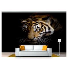 Papel De Parede Animais Tigre Rosto Cores 3D Anm96 - Você Decora