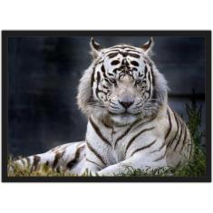 Quadro Decorativo Animais Tigre Decoração Com Moldura - Vital Quadros