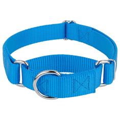 Coleira Country Brook Petz Martingale para cães - Coleira de treinamento resistente sem fivela - Coleira para cães de serviço para todos os filhotes - Coleção vibrante e colorida (azul gelo, 2,5 cm,