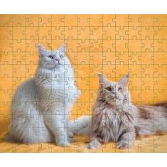 Kit 10 Quebra-Cabeça Cognitivo Reabilitação Idosos Diversos - Reidopen