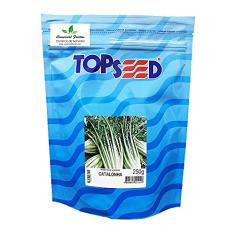 Sementes de Almeirão Catalonha Pcte C/ 250 Gramas