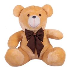 Urso Teddy De Pelúcia Tamanho 50cm G - ThamyBaby, Doce de leite com la