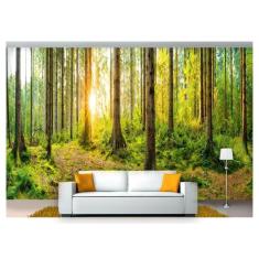 Papel De Parede Floresta Natureza Árvores 3D 3M² Xna199 - Você Decpra