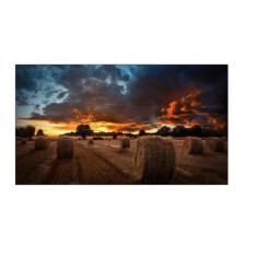 Monitor Profissional Samsung 55" Vídeowall LH55VMBUBGBXZD