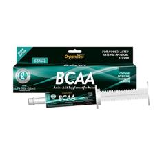 BCAA - 1 x 60 gr