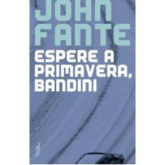 Livro - Espere a primavera, Bandini