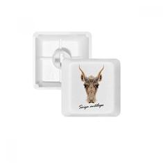 Brown Wild Saiga Antelope Teclado Mecânico Teclado PBT Gaming Upgrade Kit