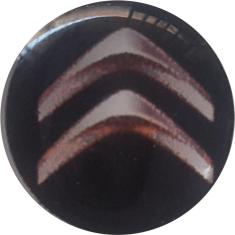 Kit 10 Adesivos Resinado Citroen