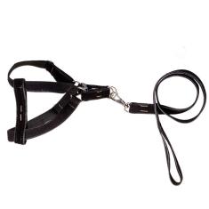 Coleira Peitoral Americano De Camurça Preto - N.5