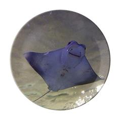 Prato decorativo de porcelana Salver Salver Prato de jantar para skate de rai oceano