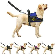 Coleira Peitoral Para Cachorro Pet Com Bolso Guia Ajustável Reforçada 