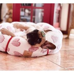 Cama para cachorro cama para gato caminha para pet puff fofura coelho 